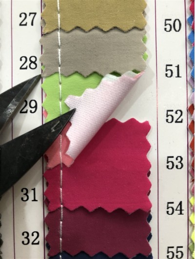 GZ-JNHE 1227 尼龍面料  背囊/雨衣面料  45度照